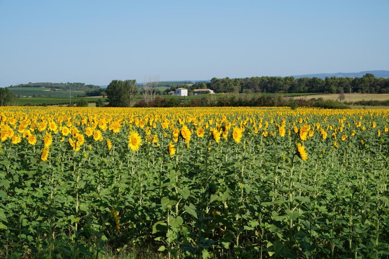 Le Clos Des Troubadours Bed & Breakfast Pennautier Exterior foto