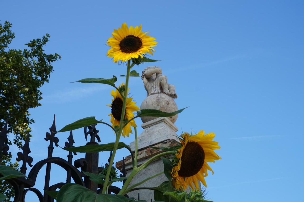 Le Clos Des Troubadours Bed & Breakfast Pennautier Exterior foto